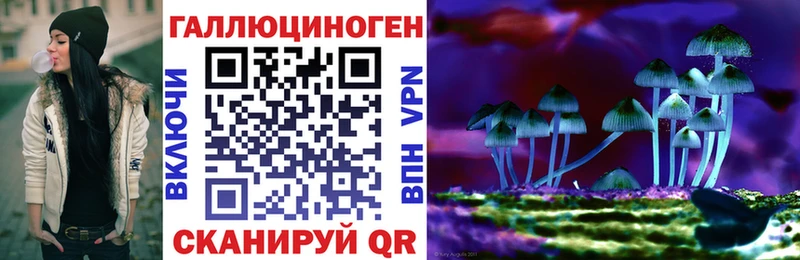 Псилоцибиновые грибы GOLDEN TEACHER Яблоновский